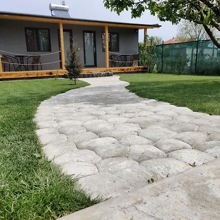 Casa Vlad Penzion Douăzeci şi Trei August