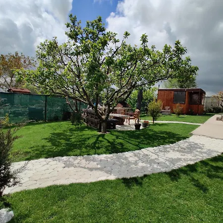 Гостевой дом Casa Vlad Дуэзечи-ши-Трей Аугуст