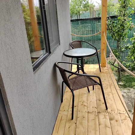 게스트하우스 Casa Vlad